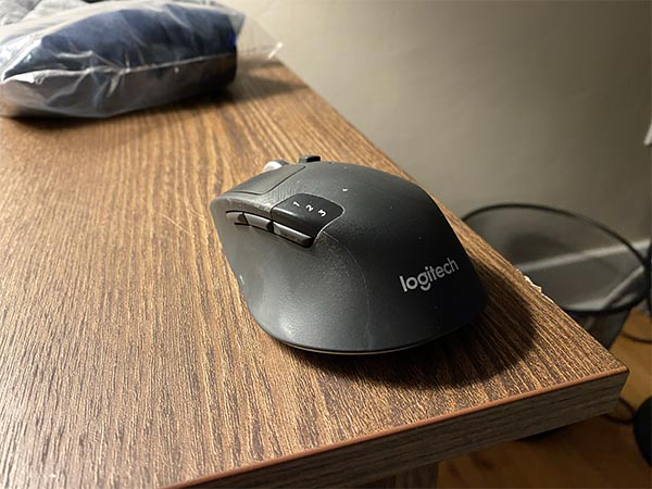 Logitech Triathlon 720 mouse